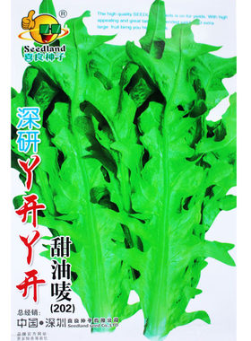 丫开甜油唛种子油麦菜种子