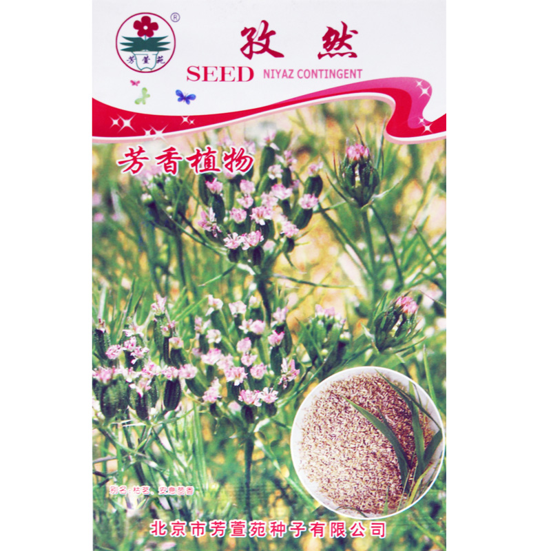孜然种子 安息茴香  家庭阳台盆栽香草香料  芳香植物种子