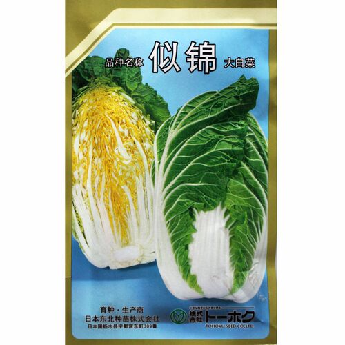 日本进口纯白菜H型黄心白菜