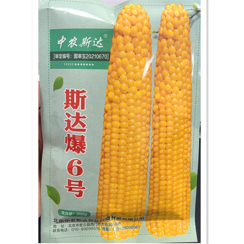 爆米花玉米种子斯达爆6号球型爆花玉米国审爆米花籽 糯玉米春夏播,鲜花速递/花卉仿真/绿植园艺,家庭园艺种子,淘宝优惠券,粉丝福利购,淘宝优惠卷