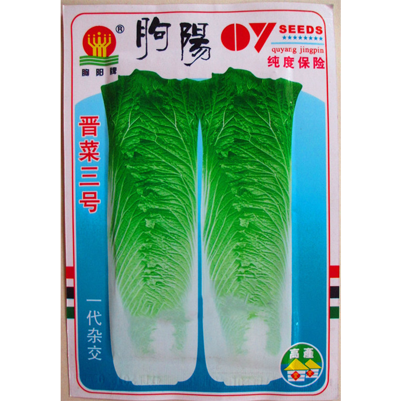 高产优质蔬菜大白菜 小核桃纹长白菜种子阳台花盆盆栽 蔬菜种子
