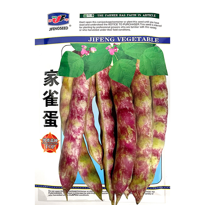 油豆角春季黄金钩蔬菜种子