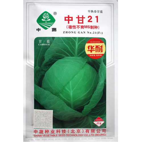 甘蓝种子中国农业科学院二十一