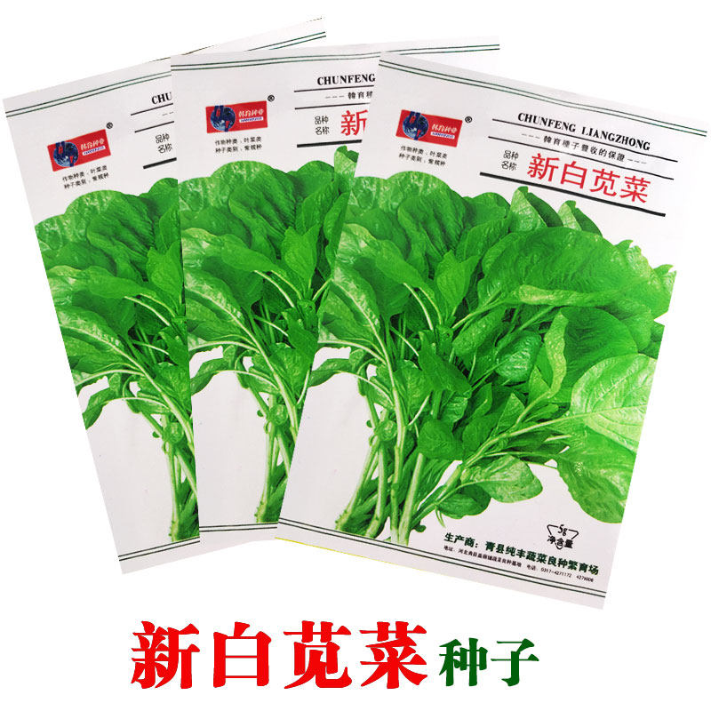 青苋菜种子白苋菜种籽绿苋菜四季蔬菜种籽阳台春夏阳台秋种植包邮