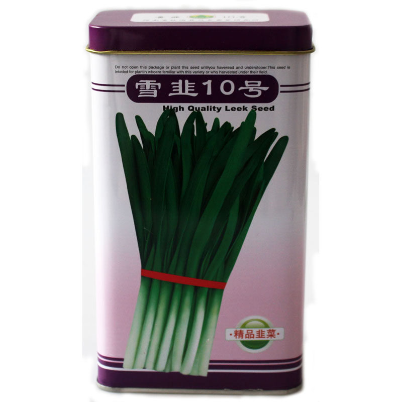 雪韭10号韭菜种子 不休眠河南宽叶白根韭菜种子 长韭王春夏秋季播