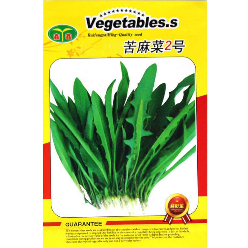 苦麻菜2号曲麻菜 蔬菜种子叶菜 营养苦麻菜种子苦菜种子