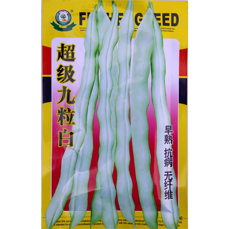 芸豆角无丝白不老春季蔬菜种子图片