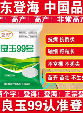 登海良玉99高产玉米种杂交