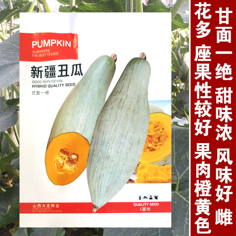 贵族南瓜种子新疆金丝栗瓜板栗贝贝南瓜种籽丑瓜春季四季粉糯特甜,鲜花速递/花卉仿真/绿植园艺,家庭园艺种子,淘宝优惠券,粉丝福利购,淘宝优惠卷