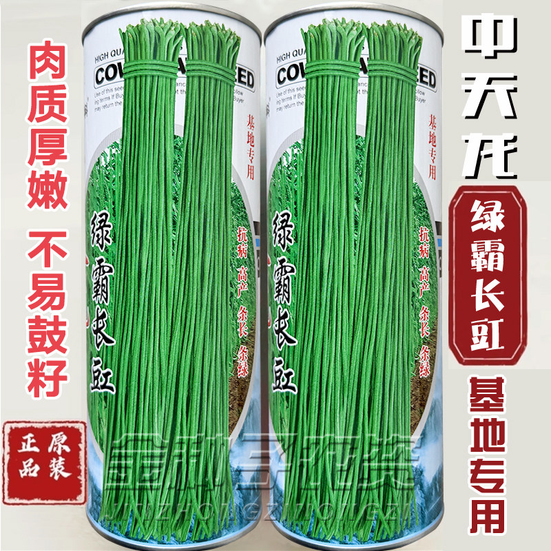 中天龙绿霸长豇豆角种子