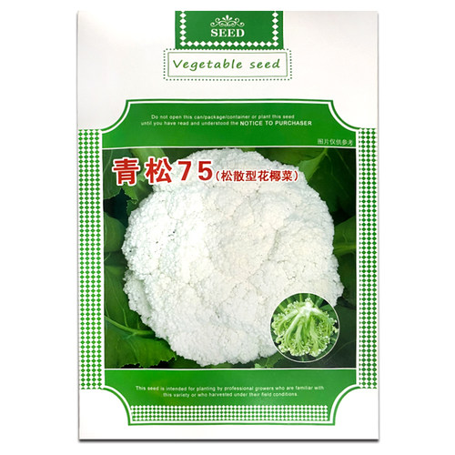 台湾春季松花菜蔬菜种子