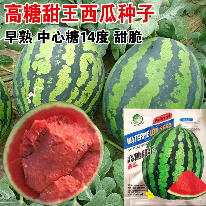 大红瓤甜王西瓜特甜抗裂好吃好卖