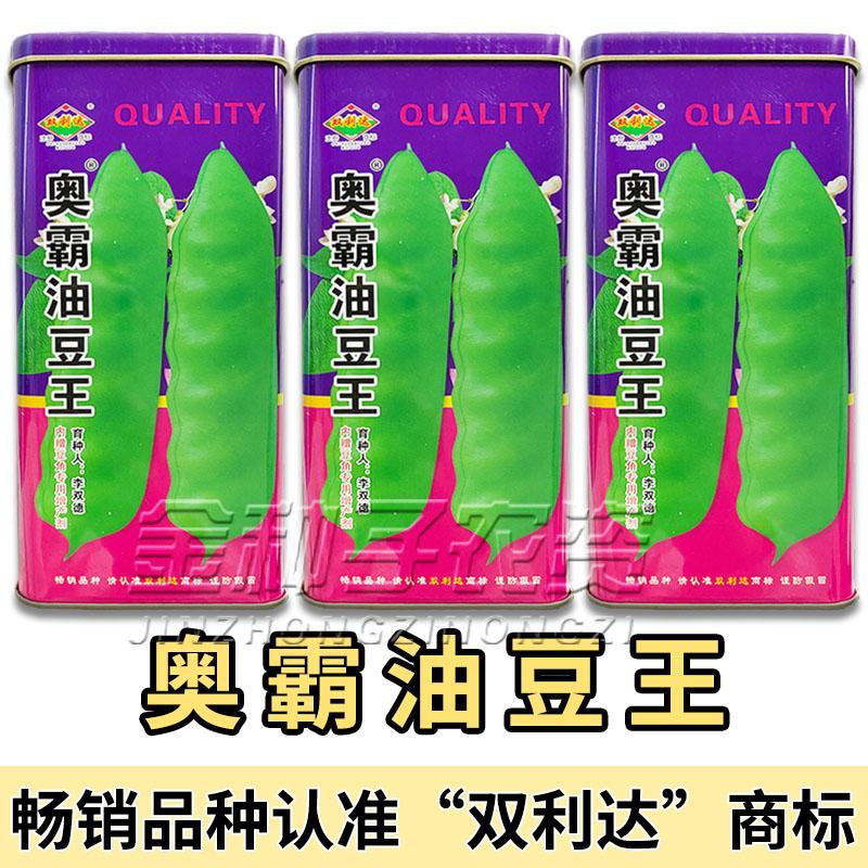 油豆角种子早熟新货38天