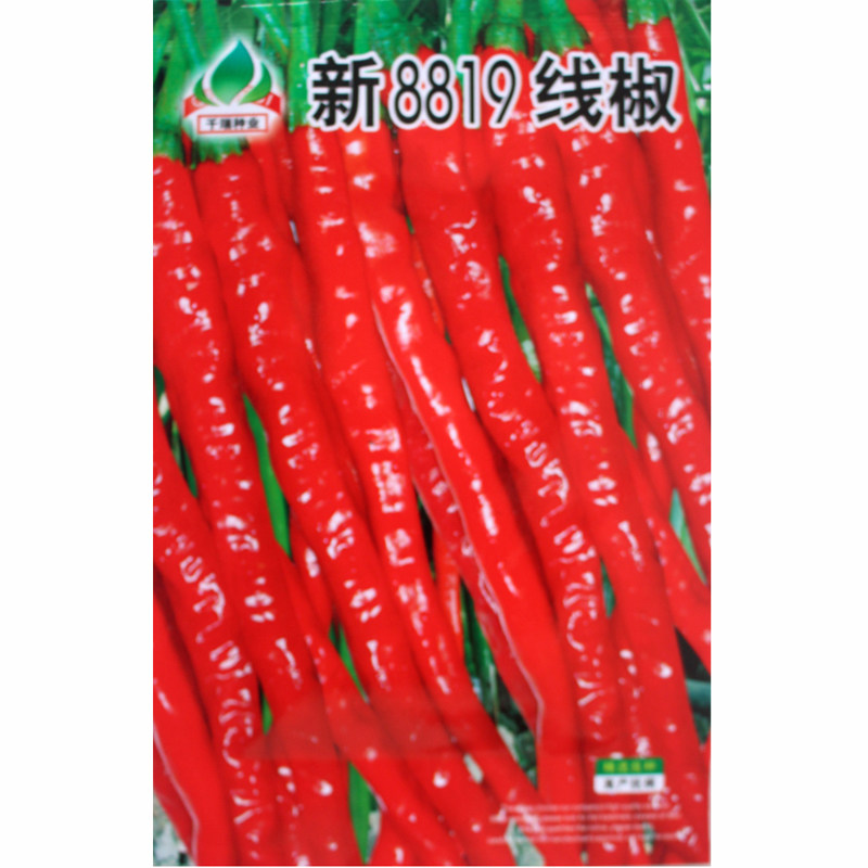 8819线椒种子 丰产辣椒种籽 四季庭院阳台播种盆栽蔬果蔬菜种子