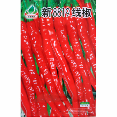 线椒种子丰产庭院阳台盆栽蔬果