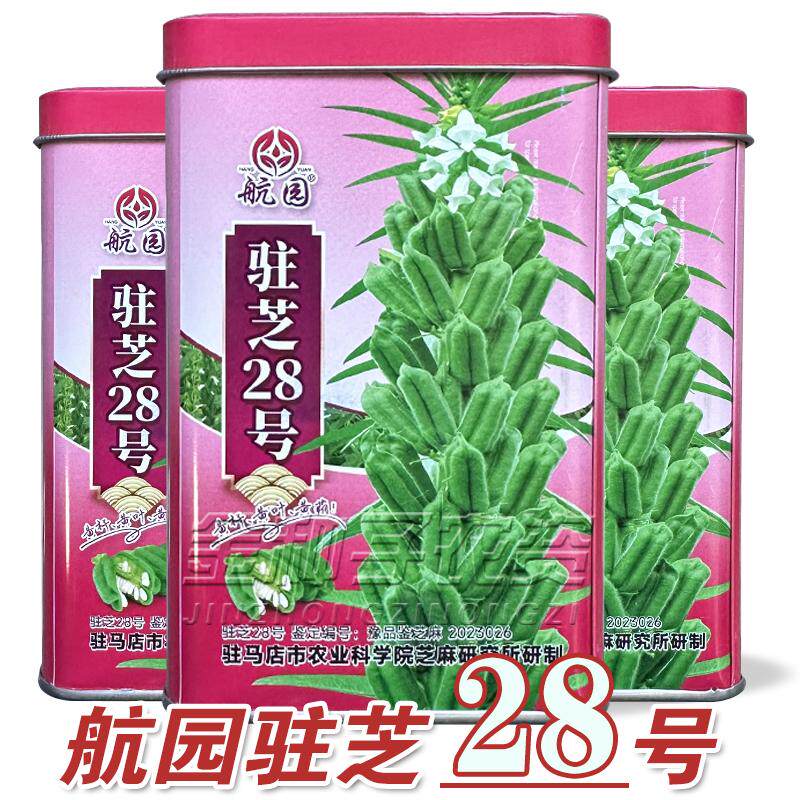 杂交芝麻种子驻芝28号高产白芝麻种高油矮脚榨油芝麻种子籽孑大田