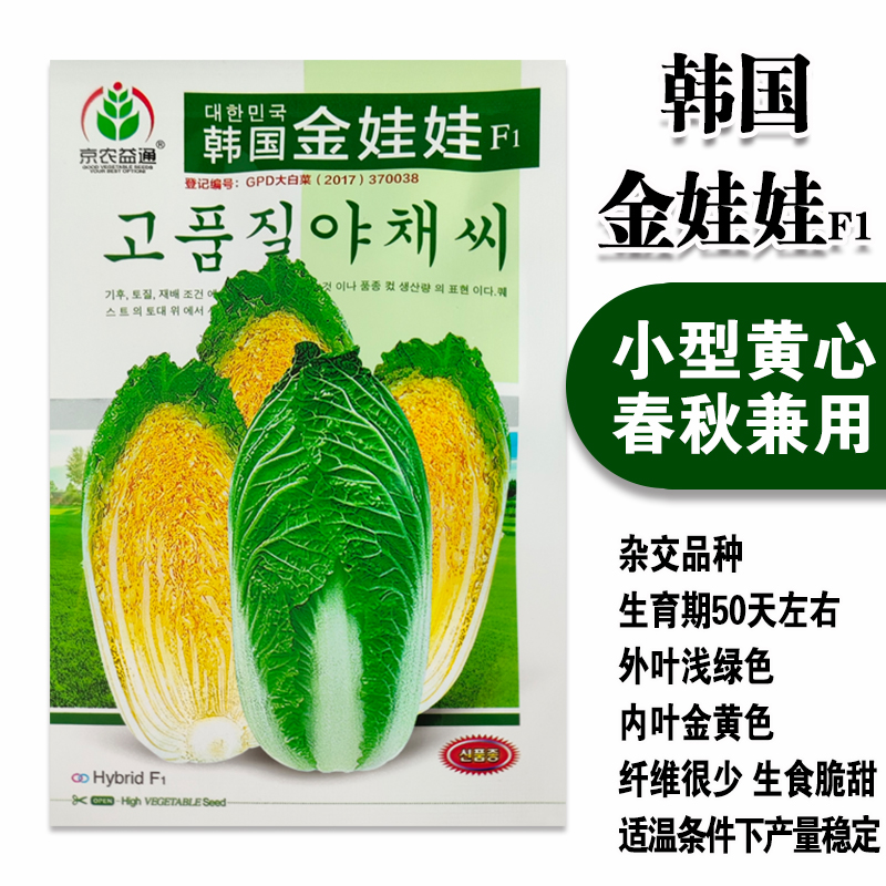 韩国娃娃菜种子黄心小白菜种子高产基地专用四季白菜籽小黄心抗病