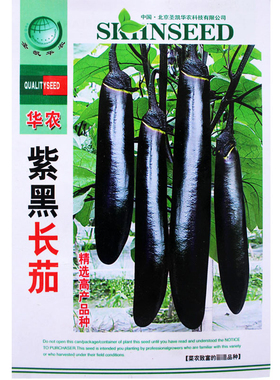 紫黑长茄种子茄子种子长茄黑色紫四季高产蔬菜种籽线杭白茄春季播