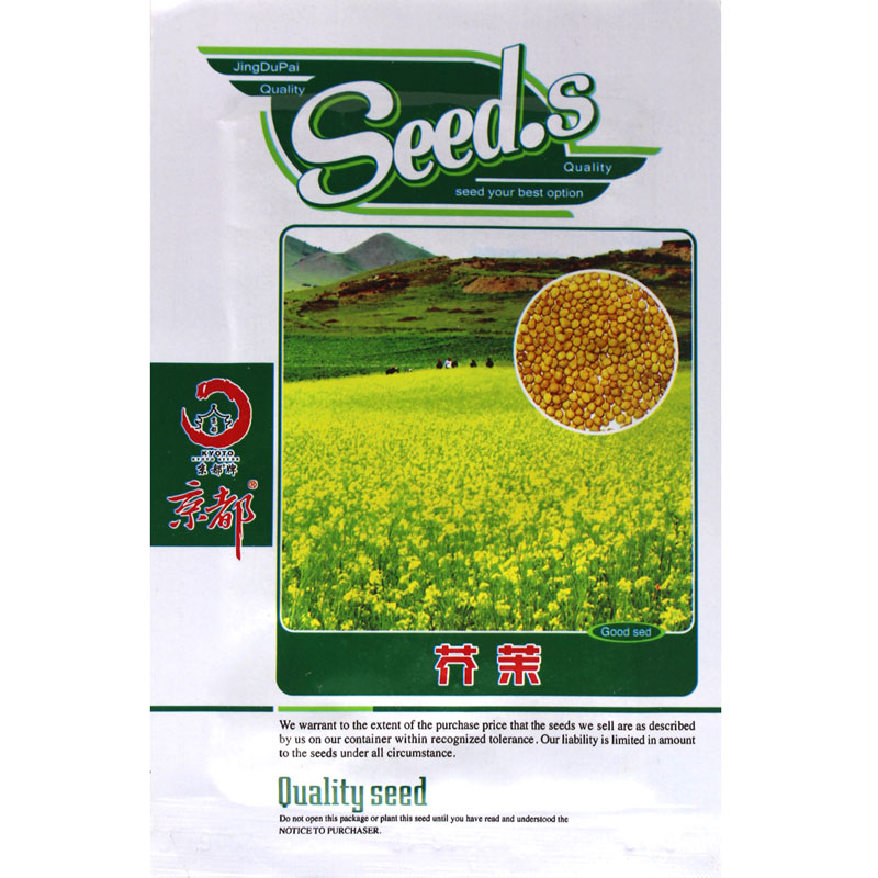 寿光蔬菜种子/芥末种子/特呛鼻子的芥末种子/辣味十足/好吃味浓
