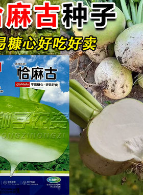 恰玛古圆蔓菁蔬菜种子