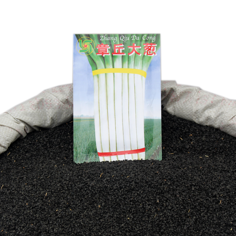 山东章丘秋冬季蔬菜种子