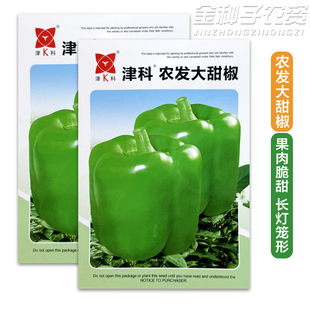津科农发大甜椒种子果肉脆甜长灯笼形蔬菜种子菜辣椒种子籽大果型