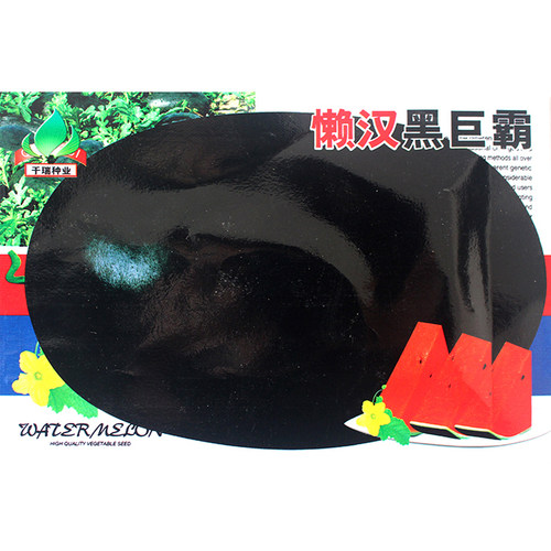 超大黑霸王红壤圆形西瓜种子
