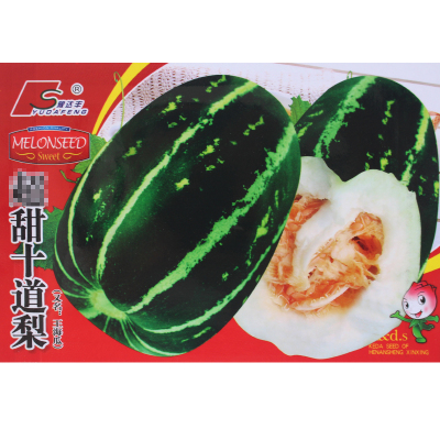 蔬菜春季盆栽水果甜瓜种子