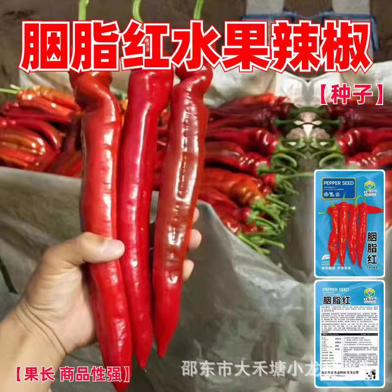 胭脂红水果辣椒种子特大红辣椒大羊角辣椒种籽彩色椒早熟微辣椒孑,农用物资,蔬菜种子/种苗,淘宝优惠券,粉丝福利购,淘宝优惠卷