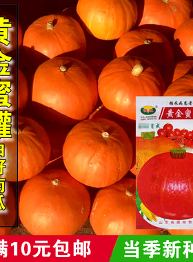 黄金蜜罐红皮白籽南瓜种籽蔬菜种孑四季农家菜种日本贝贝南瓜种籽
