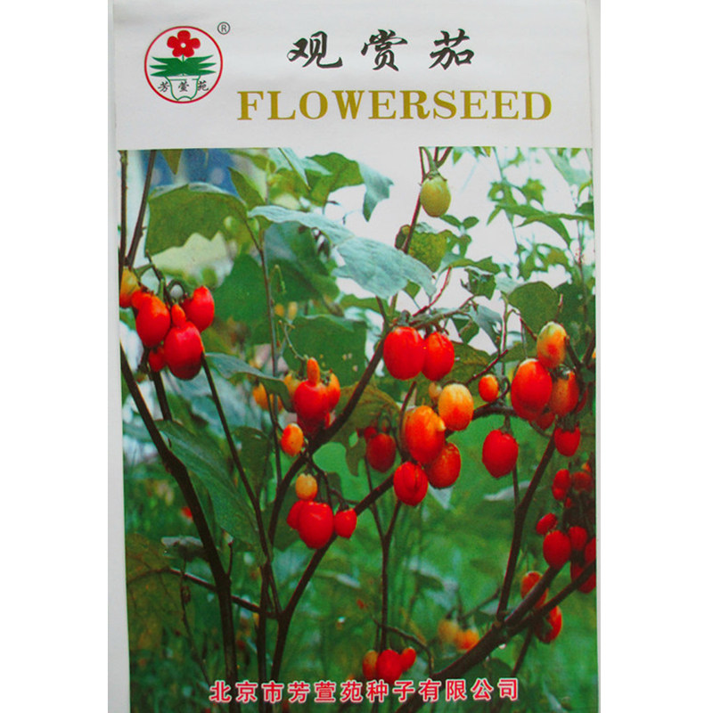 蔬菜种子 茄子 观赏茄子 阳台蔬菜 小茄子 非洲红茄 彩色茄子