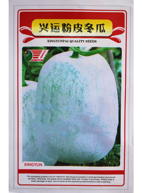 庭院冬瓜种子粉皮瓜果