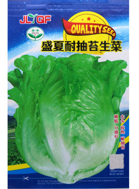 盛夏耐抽苔生菜种子耐热不老化
