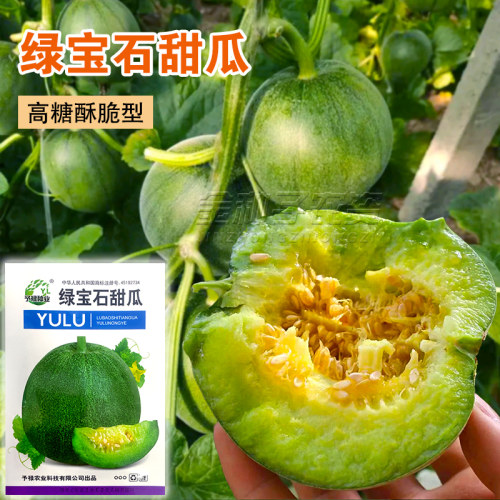 绿宝石甜瓜种子F1薄皮超甜 香瓜种子春季四季脆瓜早熟高产香瓜籽