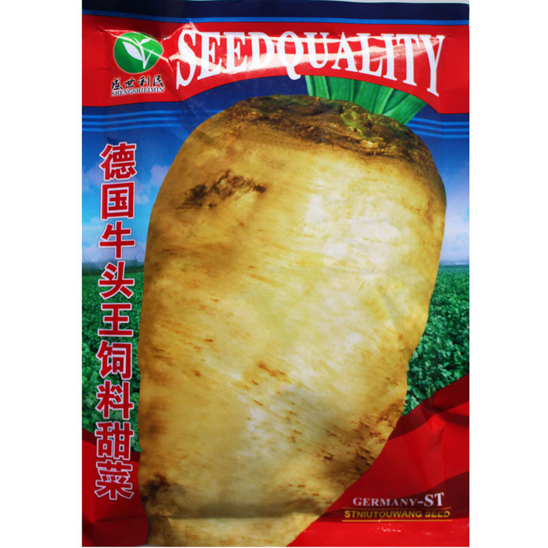 德国牛头王饲料甜菜根种子 加工白糖用蔬菜种子牧草饲料白甜菜头