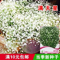 Байхуа Фея полна неба/около 50 метров [1 сумка]