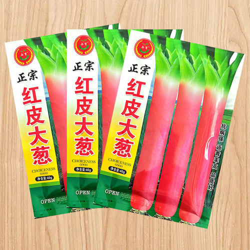 正宗红皮大葱种子返青高