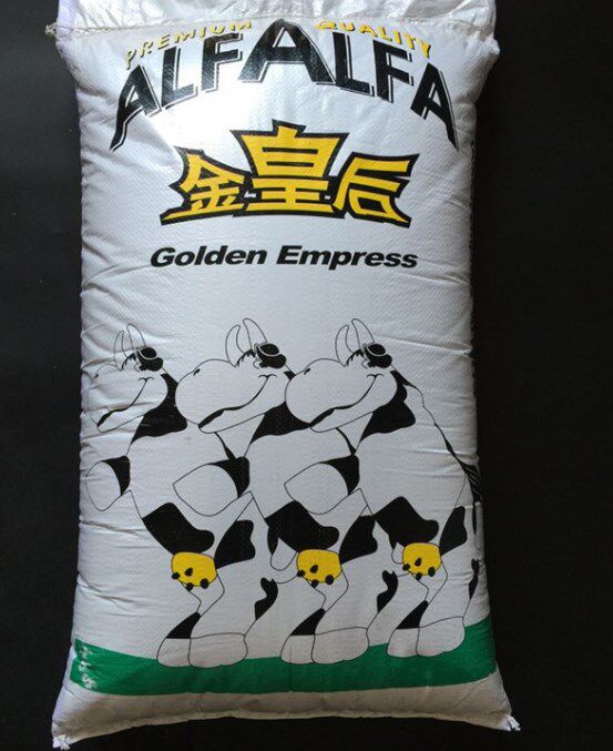 【金皇后】 紫花苜蓿种子 羊草籽加拿大进口 高产多年生牧草籽