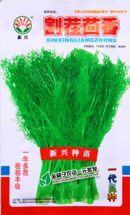 彩包割茬茴香种子籽大包装割茬茴香耐寒四季可多次收小茴香菜种籽