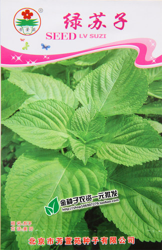 绿苏种子 苏子 苏叶 适合生鱼片 煎黄瓜煮粥 能食用药用 约30粒 - 封面