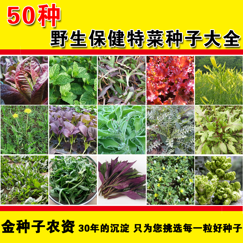50种天然绿色菜 蔬菜种子套餐 四季播 荠菜秋葵荆芥薄荷春季播种