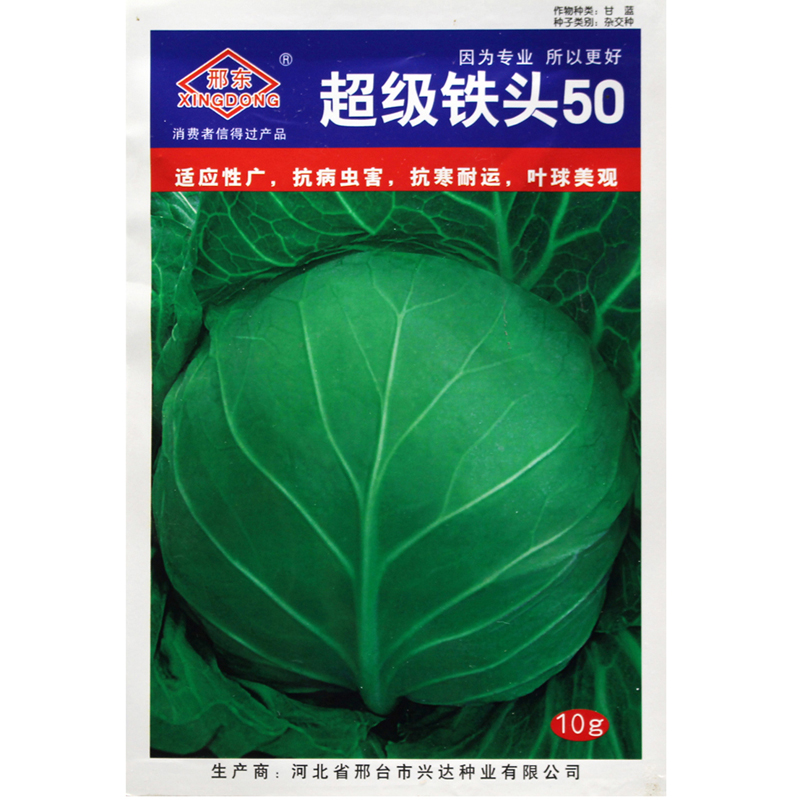 邢东铁头50天成熟圆球形包菜种子