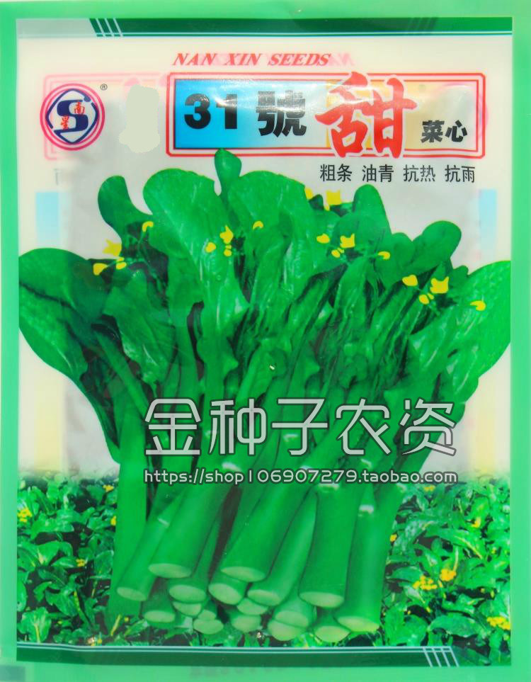 菜心种子批粗条甜菜心种子油青四九菜心菜农用种高产阳台盆栽四季
