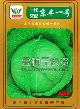 应季京丰10g大包装特卖卷心菜