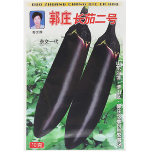 蔬菜种子郭庄长茄二号/徐州长茄种子 墨紫色茄子 耐寒高产秋延后