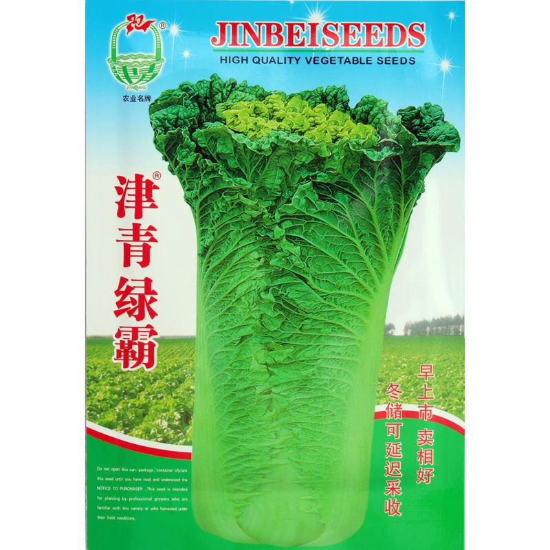 天津津青绿秋季高产抗病白菜种子