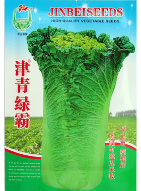 天津津青绿霸大白菜籽 大青麻叶 秋季高产抗病白菜种子 高产抗病
