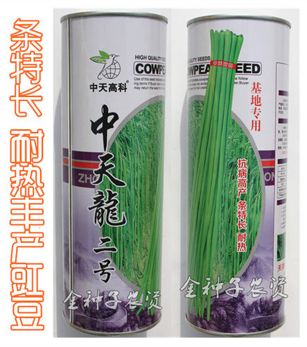 中早熟夏季耐热豆角种子