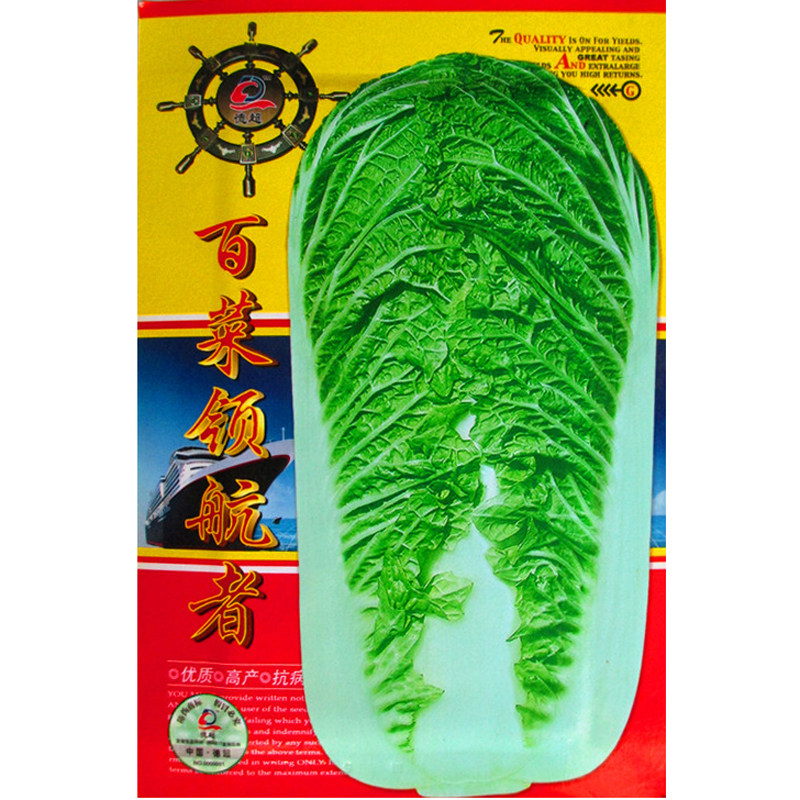 高产白菜种子 个大抗病 可达20斤高产美味 白菜领航者 秋播种菜籽