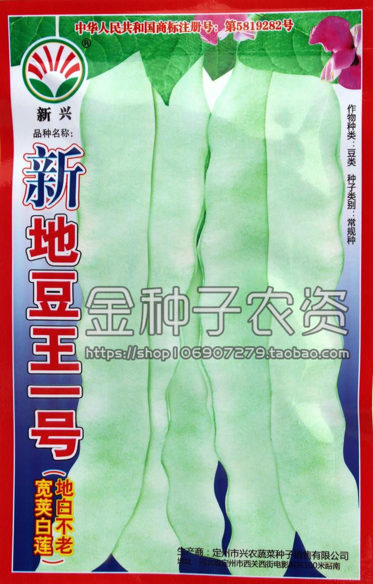 蔬菜种子 全能地豆王一号种子 无架白不老种子 宽荚白莲四季豆籽